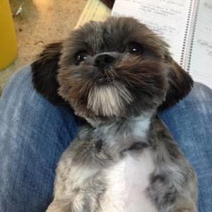 Meet your Posher, Cindy